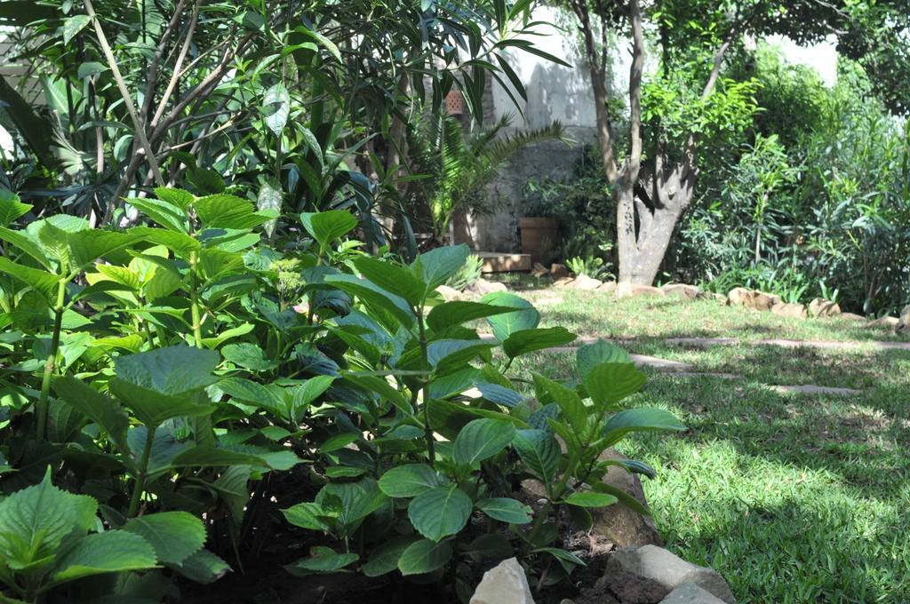 Bed & Breakfast La Maison De 3*